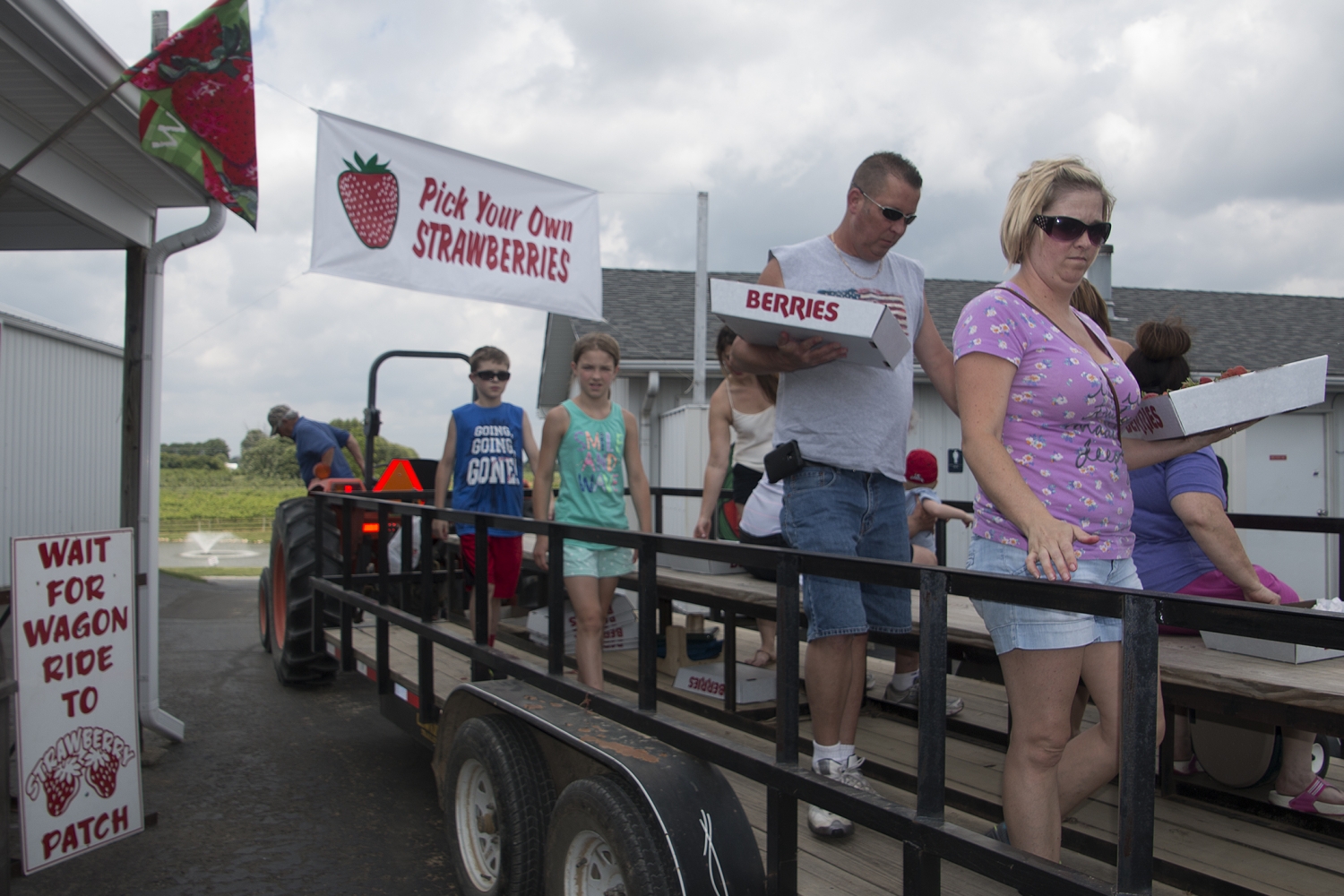 Visitors enjoy a tractor ride and collecting strawberries at Hubers Orchard and Winery U-Pick area.