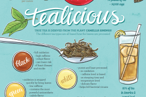 Illustration by Bambi Edlund An Illustration of the History of Tea and its Different Types