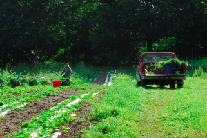 A mere 2% of the U.S. population is comprised of farm and ranch families.