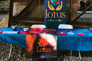 Lotus Education & Arts Foundation set up at the DrinkIN event in Bloomington on April 8th.