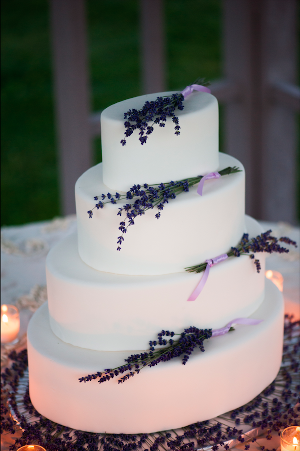 When asked why he loved lavender so much, our precious grandson, Gabe (at age 5) responded, “Because, Nana, it makes me so happy in my heart.” —Gabriel Grow