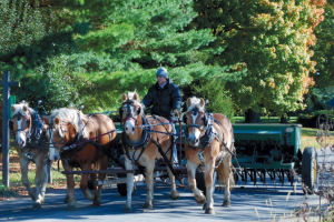 Amish Country