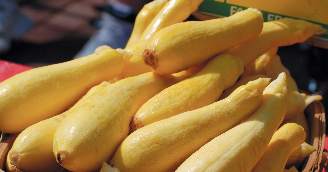Squash