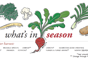 Illustrated by Bambi Edlund What's In Season Indy Illustration