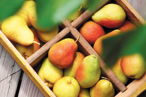 Pears