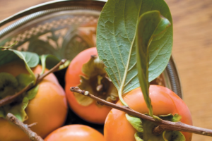 Photo from istockphoto.com Persimmon