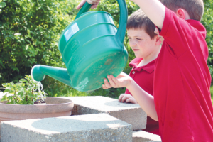 Aiden (right) and Eli tend to the irrigation. Two Young Boys Watering School Plants