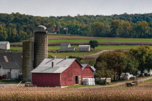 This Old Farm in Colfax. Photography courtesy of This Old Farm. This Old Farm in Colfax.