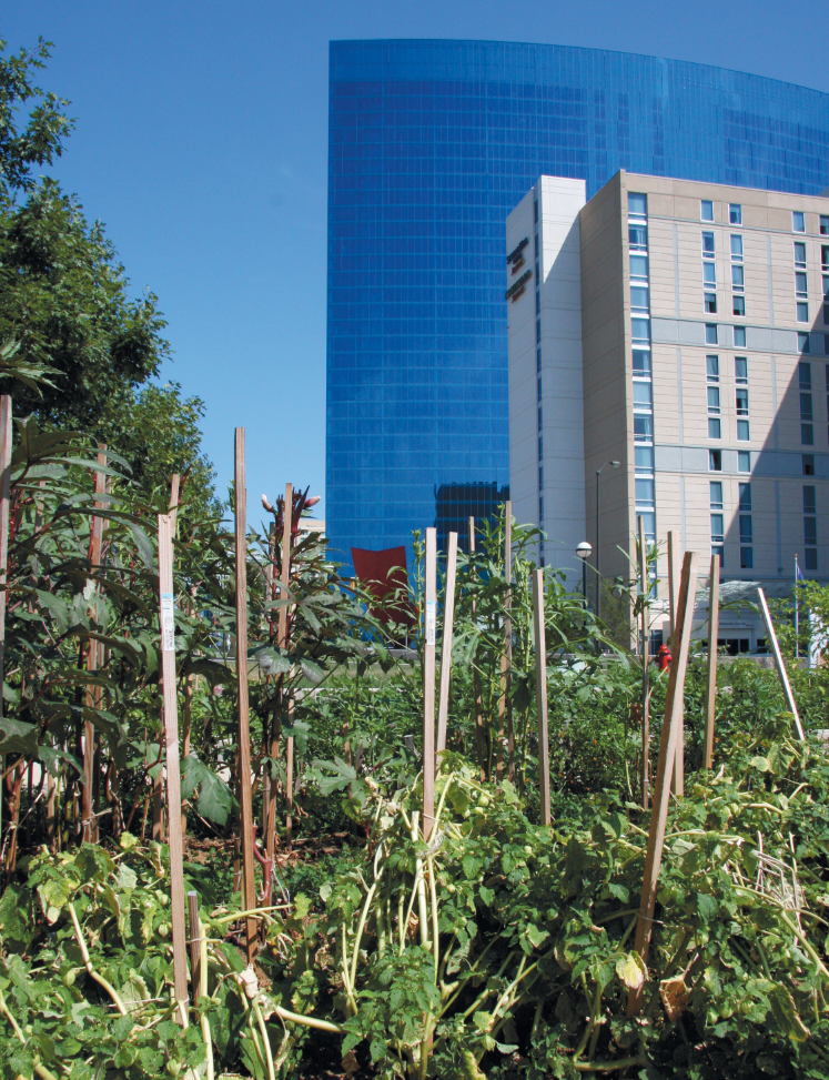 Garden: Gardens in Indy’s urban spaces are thriving. The JW Marriott is the backdrop for the Wishard Slow Food Garden in downtown Indianapolis.