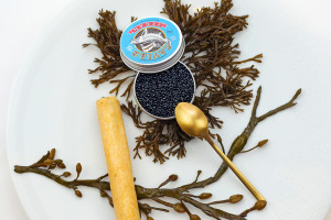 Vegan Caviar tin open on a plate surrounded by seaweed