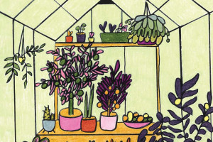 illustration: Niina Cochran