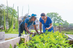 Mama Camille (with backpack) and Dr. Charlene Fletcher (in the blue dress) tend greens in the Promised Land as Proven Ground exhibit at Conner Prairie. photography: Conner Prairie