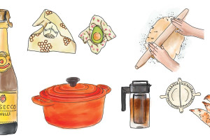 illustrations: Marisa Randles